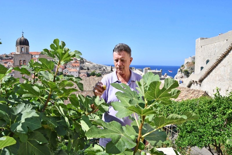 Željko Tutnjević